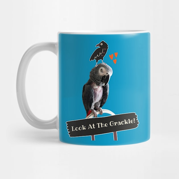 Einstein Parrot Look at the Grackle! by Einstein Parrot